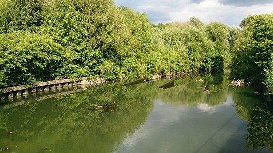 Hanwell Lock Flight Canalside
